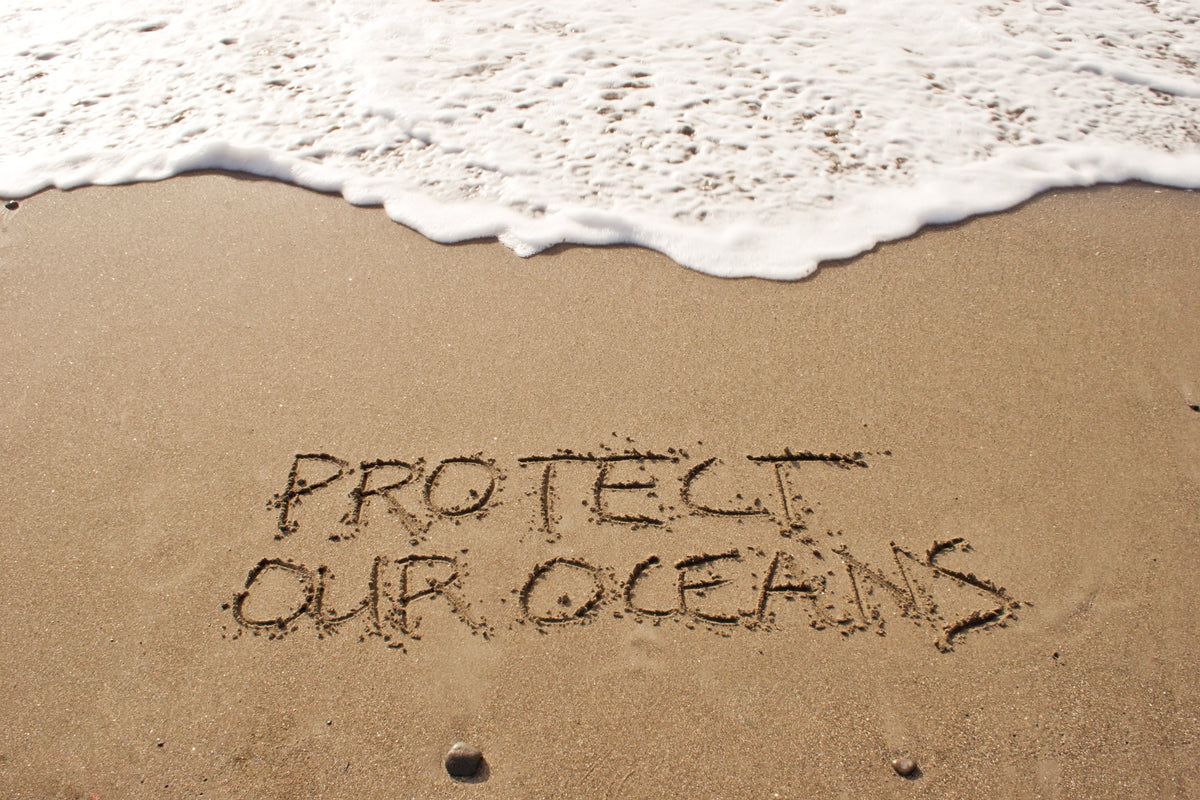 Protecting Our Ocean